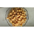 Canned Chick peas in brine